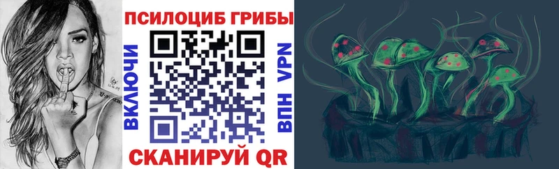 blacksprut ссылка  Суздаль  Галлюциногенные грибы мухоморы  купить закладку 